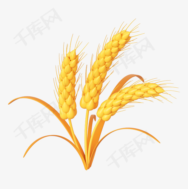 C4D立体金色麦子小麦免抠元素