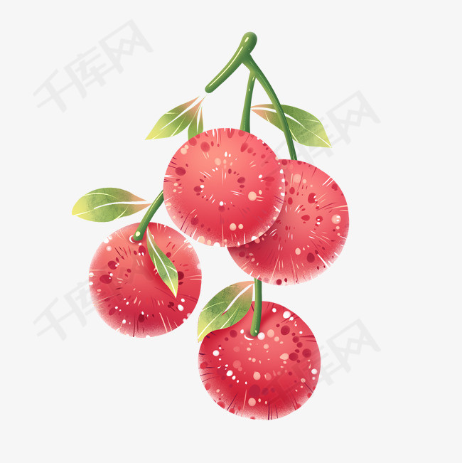 杨梅插画素材立夏水果