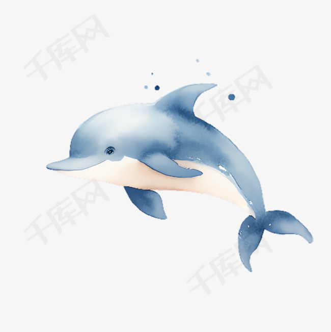 海豚海洋元素立体免抠图案