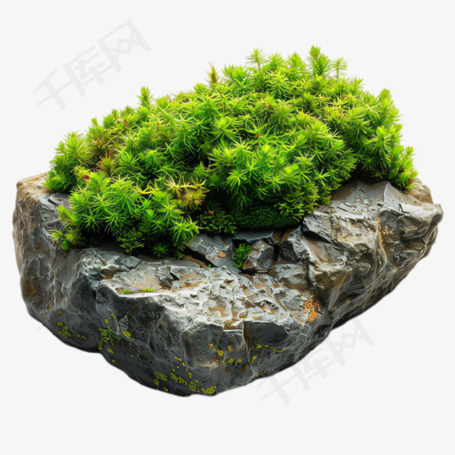 绿植岩石元素立体免抠图案