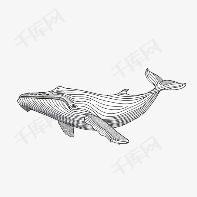 鲸鱼海洋元素立体免抠图案