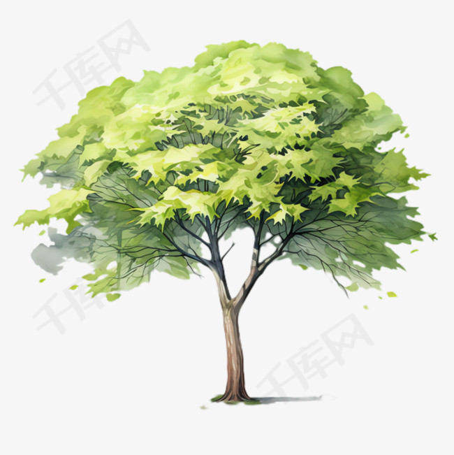 树木树叶元素立体免抠图案