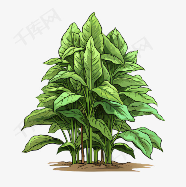 植物树叶元素立体免抠图案