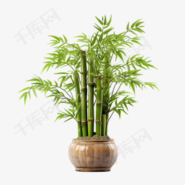 质感竹子盆栽元素立体免抠图案