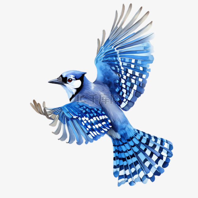 蓝色羽毛鸟卡通元素立体免抠图案