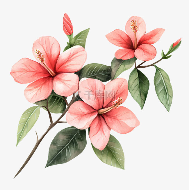 ai作品,ai绘画,沙漠玫瑰等设计元素而成的一款浅色底色aigc卡通手绘免