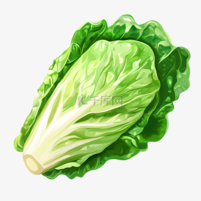 白菜菜叶ai绘画元素立体免抠图案免抠图片是千库网设计师制作的卡通