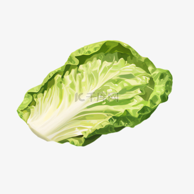 白菜菜叶卡通元素立体免抠图案