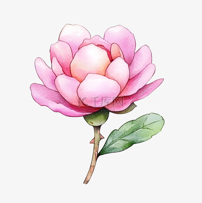 ai作品,ai绘画,沙漠玫瑰等设计元素而成的一款浅色底色aigc卡通手绘