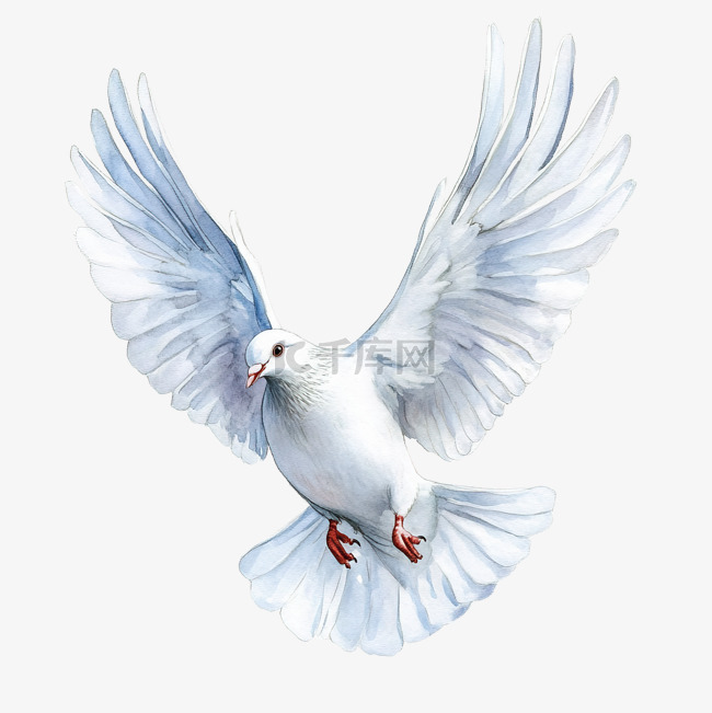 飞行中的美丽水彩白鸽