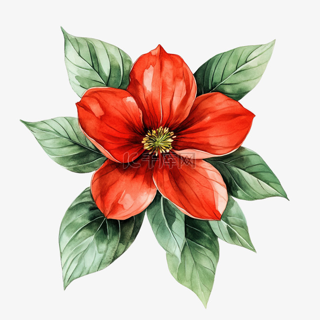 红花绿叶水彩画
