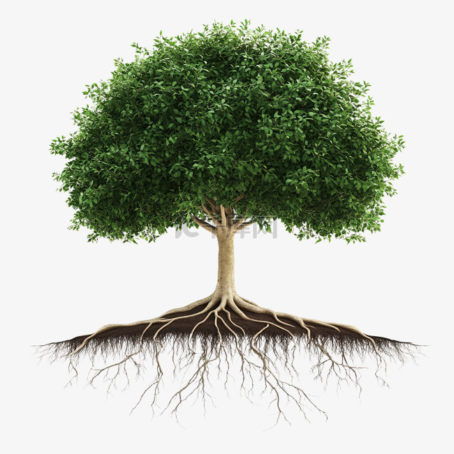 树根扎根于生态系统免抠图片是千库网设计师制作的卡通手绘png素材,该