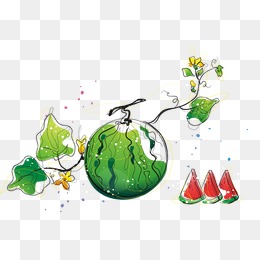 卡通手绘清新西瓜藤蔓