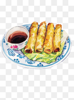手绘美食春卷插画