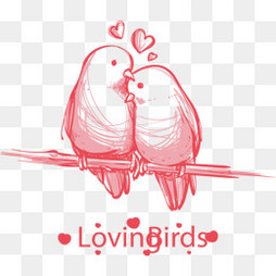 爱情鸟鸟素材】免费下载_爱情鸟鸟图片大全_