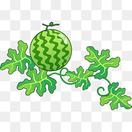 【卡通西瓜藤素材】免费下载_卡通西瓜藤图片