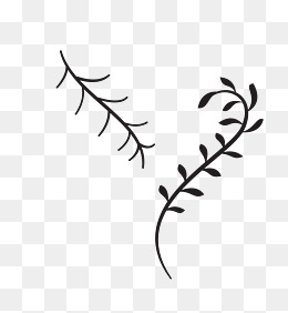 手绘黑色树枝树藤