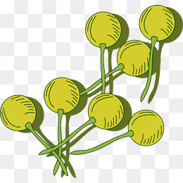 手绘购物的小街插画