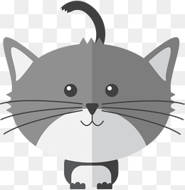 银灰色小猫