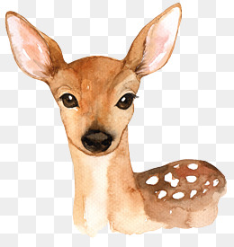 【卡通小鹿头像素材】免费下载_卡通小鹿头像