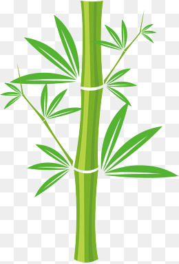 卡通竹子边框插画