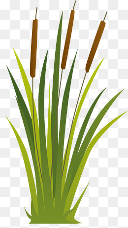 深色矢量河边香蒲