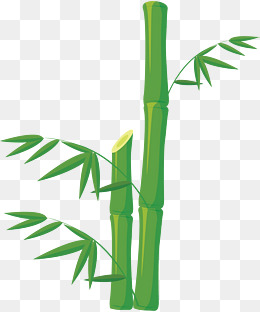 卡通手绘花卉写生植物