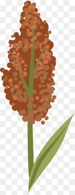 【庄稼卡通素材】免费下载_庄稼卡通图片大全