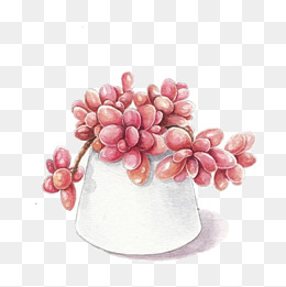 水彩植物盆栽装饰图案