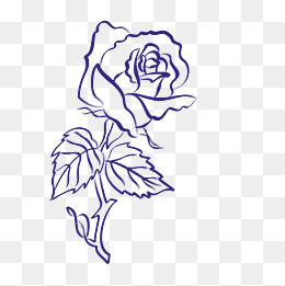 线条蓝色玫瑰花设计素材