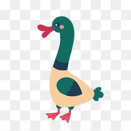 灰绿色卡通家禽鸭子