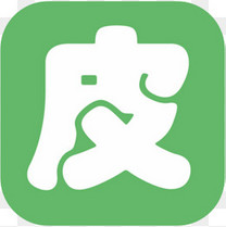 手机皮皮音乐播放器应用logo图标