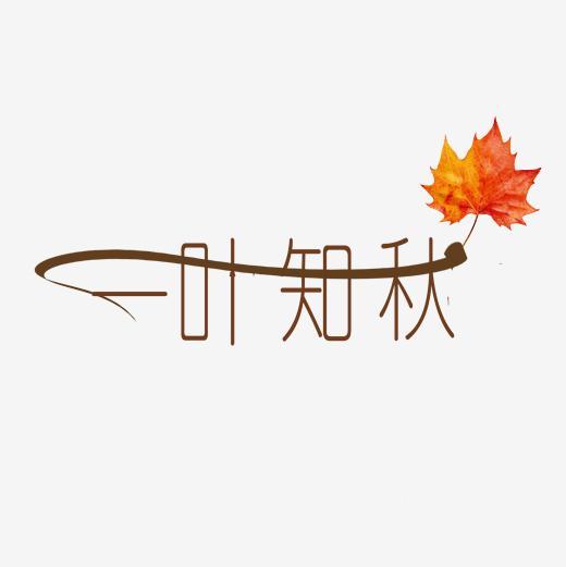 一叶知秋png
