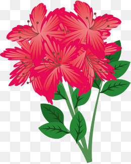 红色杜鹃花卡通插画