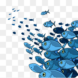 卡通鱼群png下载