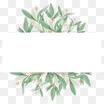 以前的操场看不到了艺术字文案