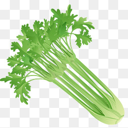 卡通芹菜png下载