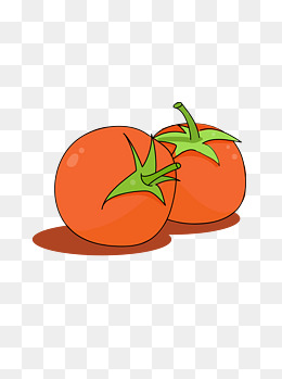 立秋小蔬菜-矢量番茄