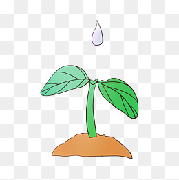 手绘卡通保护植物插画