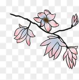 中国风水彩栀子花卡通手绘