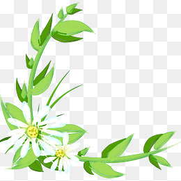 清新小白花藤蔓图案