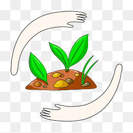 卡通的绿色小草植物