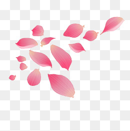 粉红色玫瑰花瓣漂浮装饰