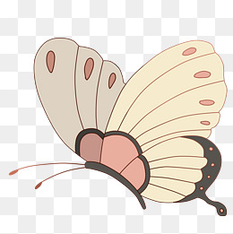 卡通红色蝴蝶插画