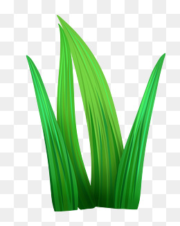 卡通绿色的叶子插画