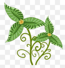 两个卡通的小草