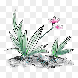 兰花水墨卡通插画