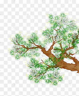 手绘松枝