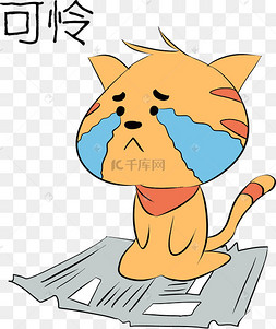 猫咪可怜