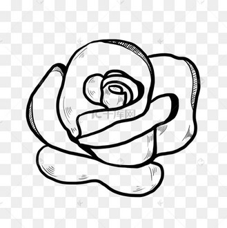 线条玫瑰花矢量免抠图